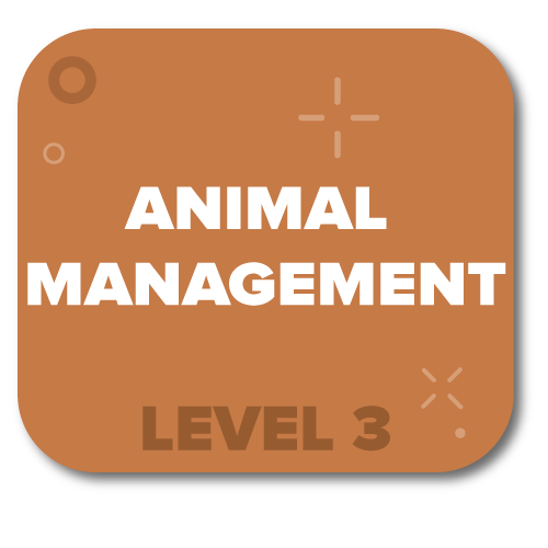 Click here for Animal Management Level 3