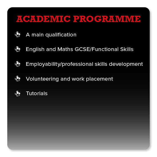 Academic Programme  A main qualification English and Maths GCSE/Functional Skills Tutorials Employability/professional skills development Volunteering and work placement