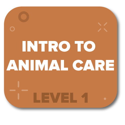 Click here for Introduction to Animal Care Level 1