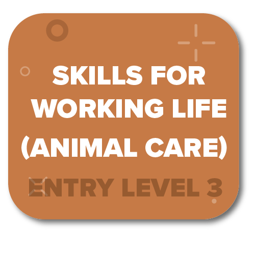 Click here for Skills for Life Animal Care Entry Level 3