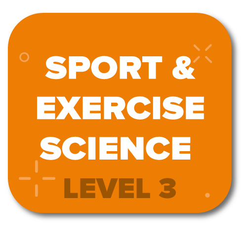 Sport & Exercise